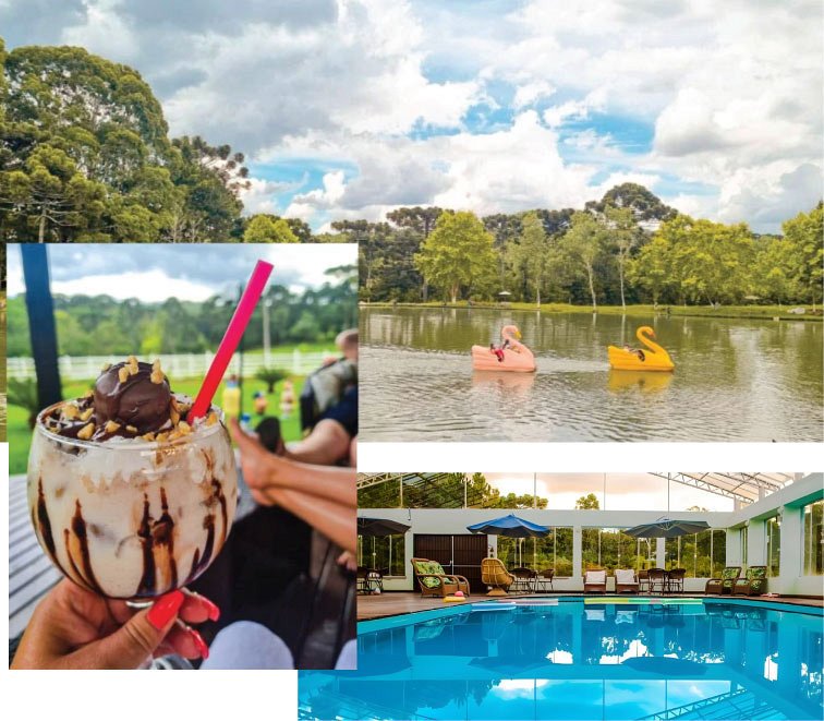 GoldMen Select Guarapuava